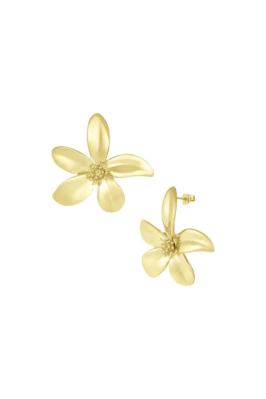 Boucles d'oreille Isadora