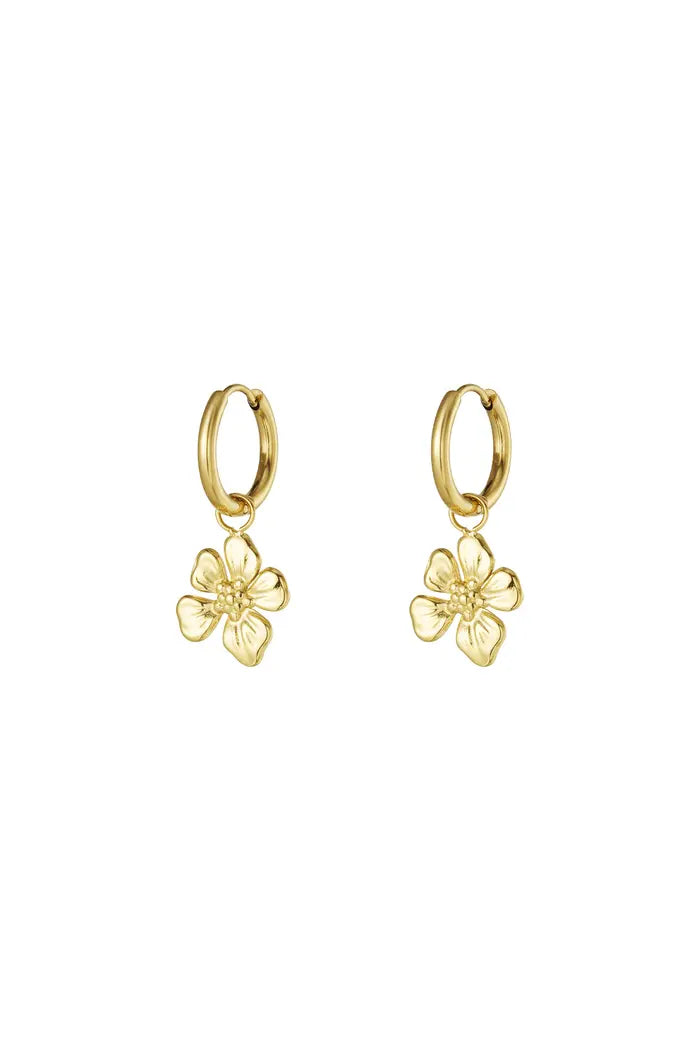 Boucles d'oreille Dyna